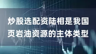 炒股选配资陆相是我国页岩油资源的主体类型