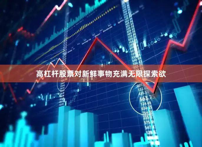 高杠杆股票对新鲜事物充满无限探索欲