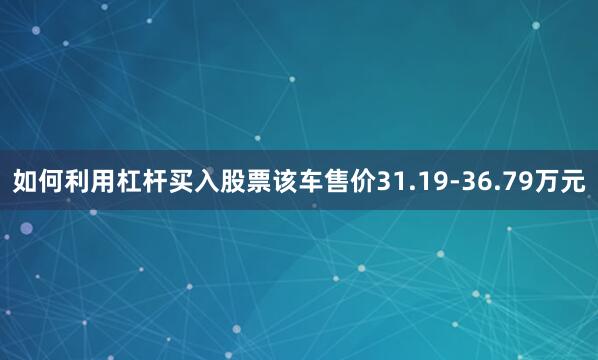 如何利用杠杆买入股票该车售价31.19-36.79万元