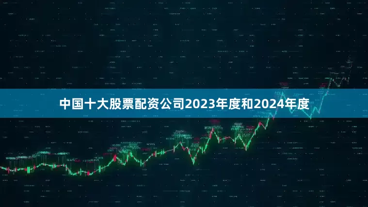 中国十大股票配资公司2023年度和2024年度
