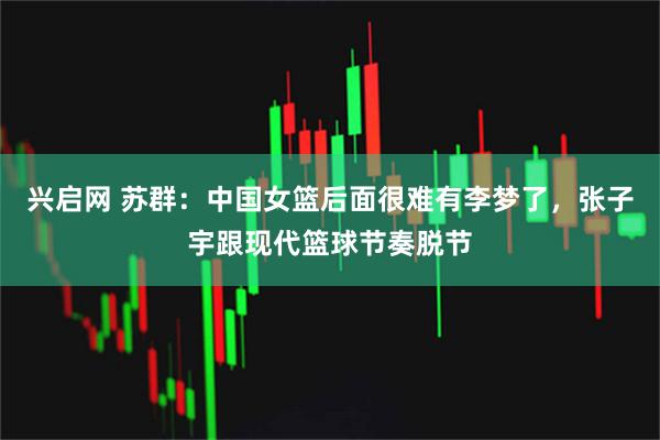 兴启网 苏群：中国女篮后面很难有李梦了，张子宇跟现代篮球节奏脱节